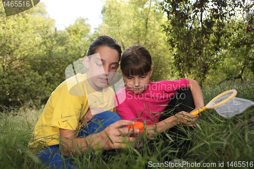 Image of Bug Hunting in the Woods