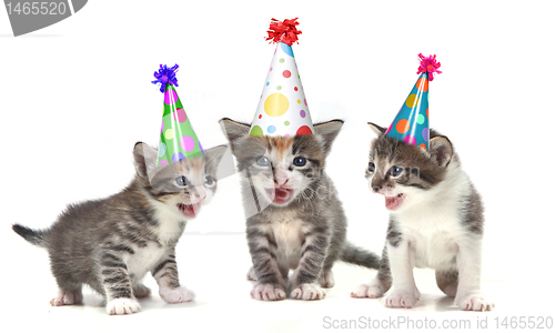 Image of Birthday Song Singing Kittens on White Background