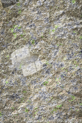 Image of old stone lichen background