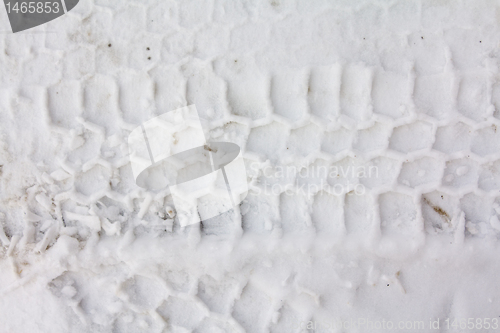 Image of Traces on snow