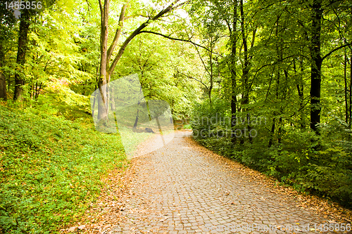 Image of Foot road