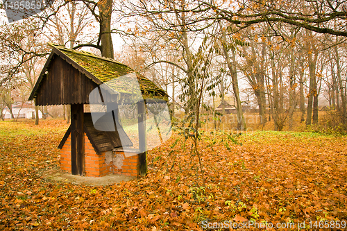 Image of Autumn season