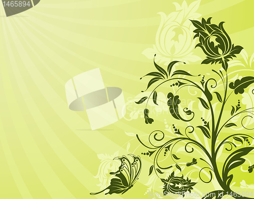 Image of Flower background