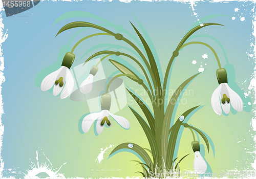 Image of Grunge Floral Frame