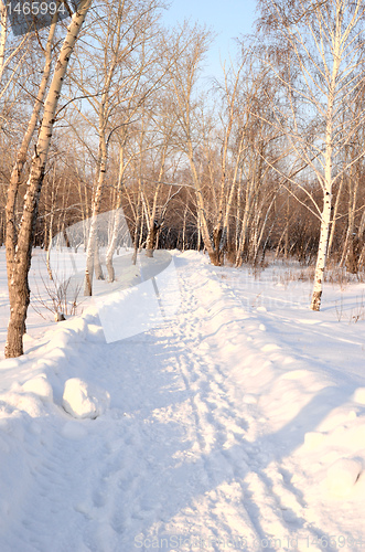 Image of snow park