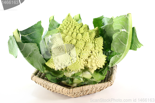Image of fresh Romanesco broccoli