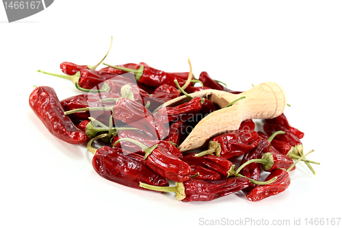 Image of paprika