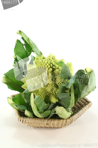 Image of Romanesco broccoli