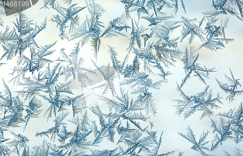 Image of Rime frost