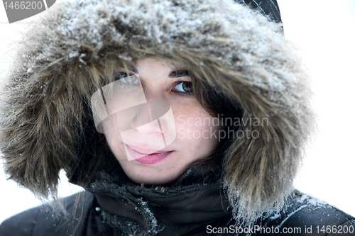 Image of Winter Portrait
