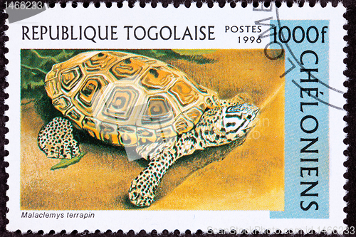 Image of Canceled Togan Postage Stamp Spotted Diamondback Terrapin, Malac