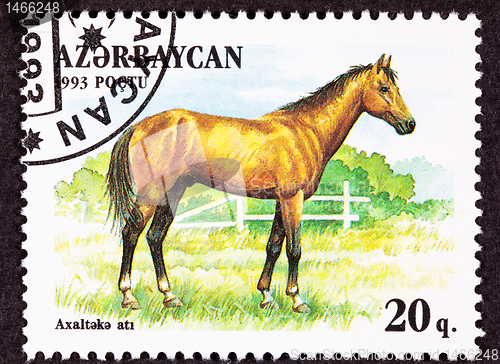 Image of Canceled Azerbaijan Postage Stamp Brown, Akhal-Teke Breed Horse 