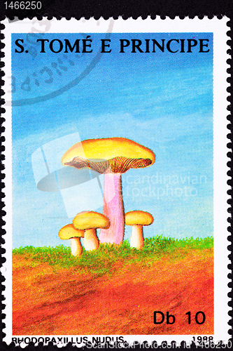 Image of SÃ£o TomÃ© Postage Stamp Wood Blewit, Clitocybe Nuda, Rhodopaxil