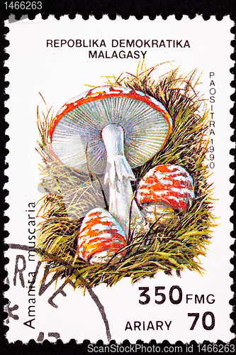 Image of Canceled Madagascar Postage Stamp Toadstool Fly Agaric mushroom,