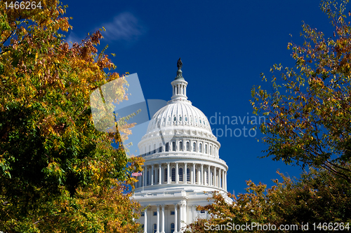 Image of Capitol Building Framed Autumn Foliage Washington DC, Polarized 