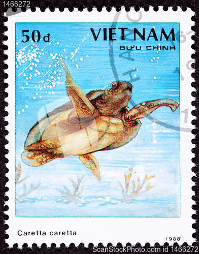 Image of Canceled Vietnamese Postage Stamp Loggerhead Sea Turtle, Caretta