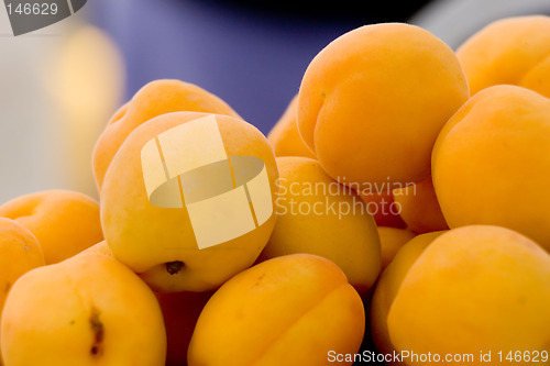 Image of Apricots