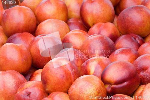 Image of Nectarines