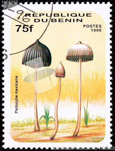 Image of Canceled Benin Postage Stamp Teonanacatl Psilocybin Psychedelic 