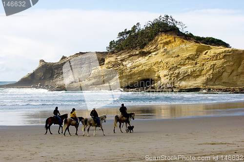 Image of Horseback riding