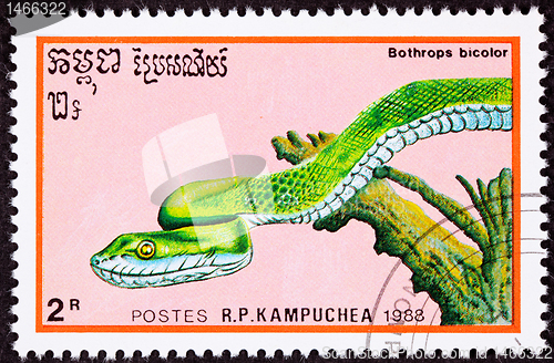 Image of Canceled Cambodian Postage Stamp Green Snake Guatemalan Palm-Pit