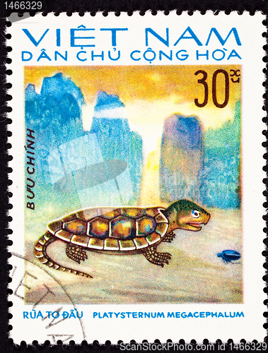 Image of Canceled Vietnamese Postage Stamp Big-headed Turtle Platysternon