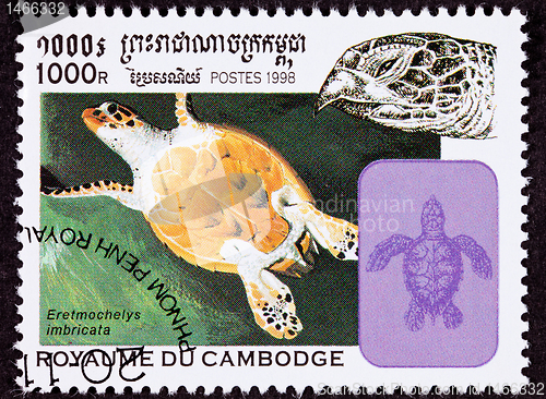 Image of Canceled Cambodian Postage Stamp Swimming Hawksbill Sea Turtle, 