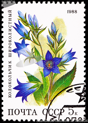 Image of Russia Postage Stamp Flower Giant Bellflower Campanula Latifolia