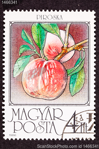 Image of Hungary Post Stamp Ripe Pink Peaches Branch Leaves