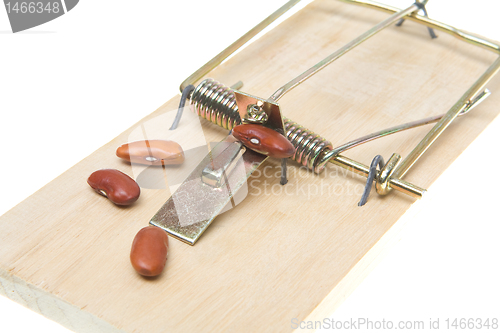 Image of Mousetrap Baited with Beans, Accounting Joke, Isolated Backgroun