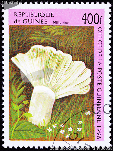 Image of Canceled Guinea Postage Stamp Milky Blue Mushroom Lactarius Indi