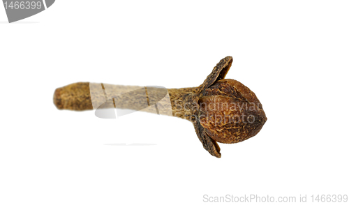 Image of clove isolated on white background