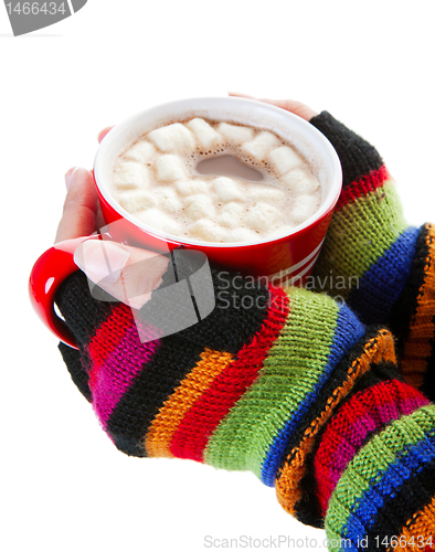 Image of Hot Chocolate for a Cold Day