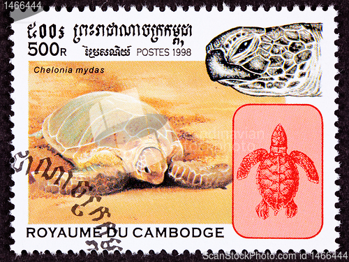 Image of Cambodian Postage Stamp Green Sea Turtle, Chelonia Mydas On Beac