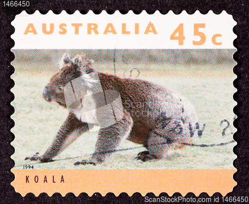 Image of Canceled Australian Postage Stamp Koala Bear Sitting on Grassy G