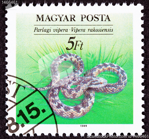 Image of Hungarian Postage Stamp Danubian Meadow Viper Vipera ursinii, ra