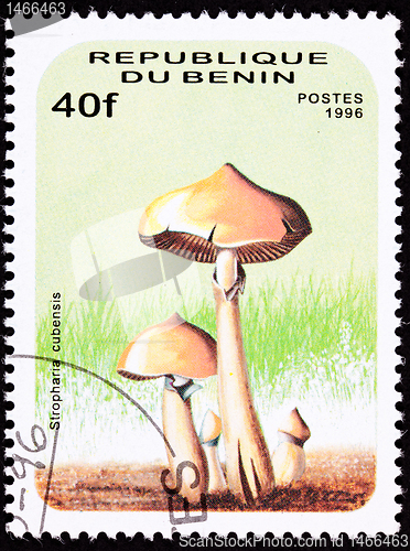 Image of Benin Postage Stamp Psilocybin, Psychedelic Mushroom, Psilocybe 