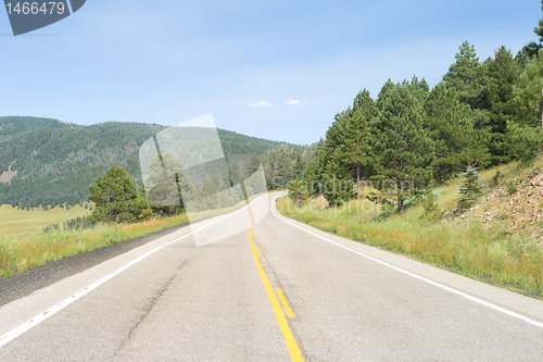 Image of Road Curving Away into the Distance Valles Caldera, New Mexico