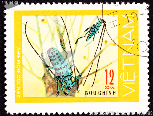 Image of Canceled Vietnam Postage Stamp Pair Green Spotted Beetle Antenna