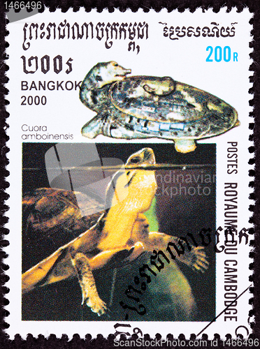 Image of Canceled Cambodian Postage Stamp Amboina Box Turtle Cuora Amboin