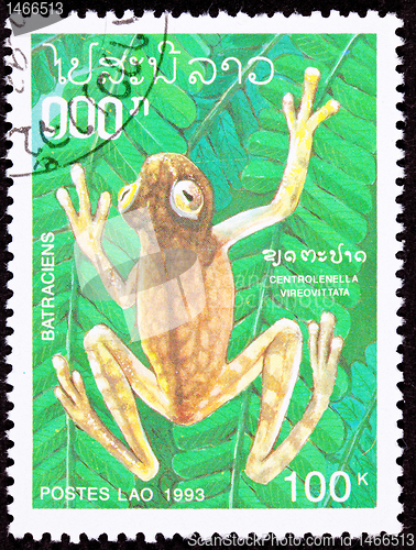 Image of Canceled Laotian Postage Stamp Brown Frog Hyalinobatrachium Vire