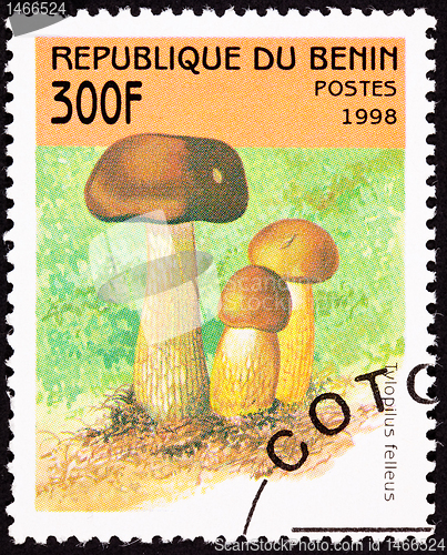 Image of Canceled Benin Postage Stamp Brown Tylopilus Felleus Formerly Bo