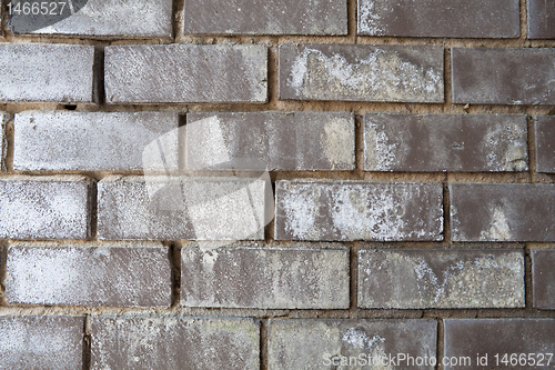 Image of XXXL Weathered Black Brick Wall with White Mineral Deposits