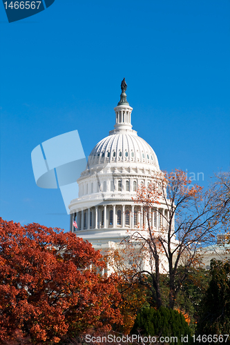 Image of Autumn at the U.S. Capital Building Washington DC Red Leaves