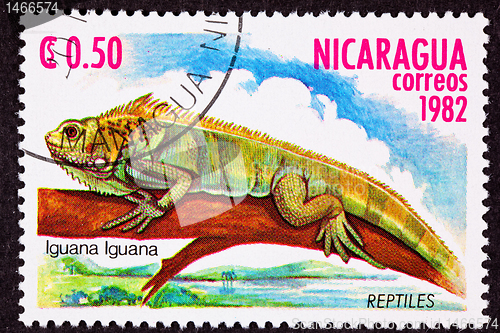 Image of Canceled Nicaraguan Postage Stamp Green Iguana Lizard Branch Mar