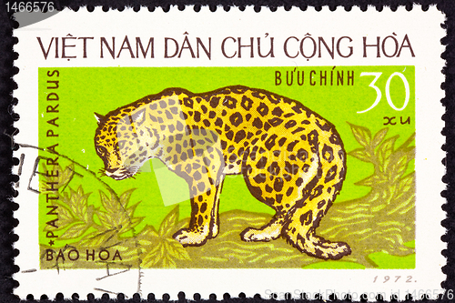 Image of Canceled North Vietnamese Postage Stamp Leopard Panthera Pardus,