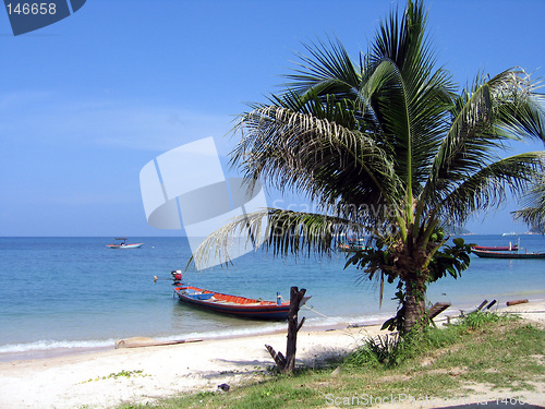 Image of Palm and boat on a beach