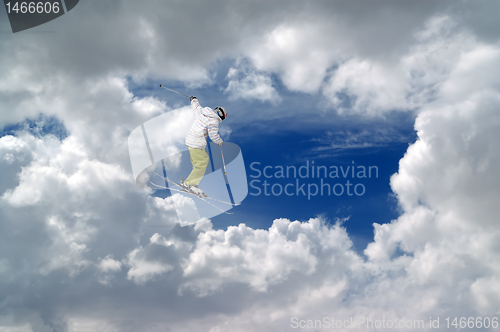 Image of Freestyle ski jumper