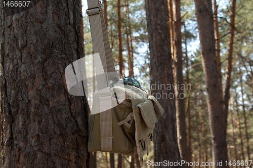 Image of Shoulder bag hanging on pine tree