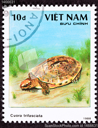Image of Canceled Vietnamese Postage Stamp Golden Coin Turtle cuora trifa